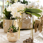 Kolibri Home | Combi deal - Pearl travertine potten by Kolibri Company