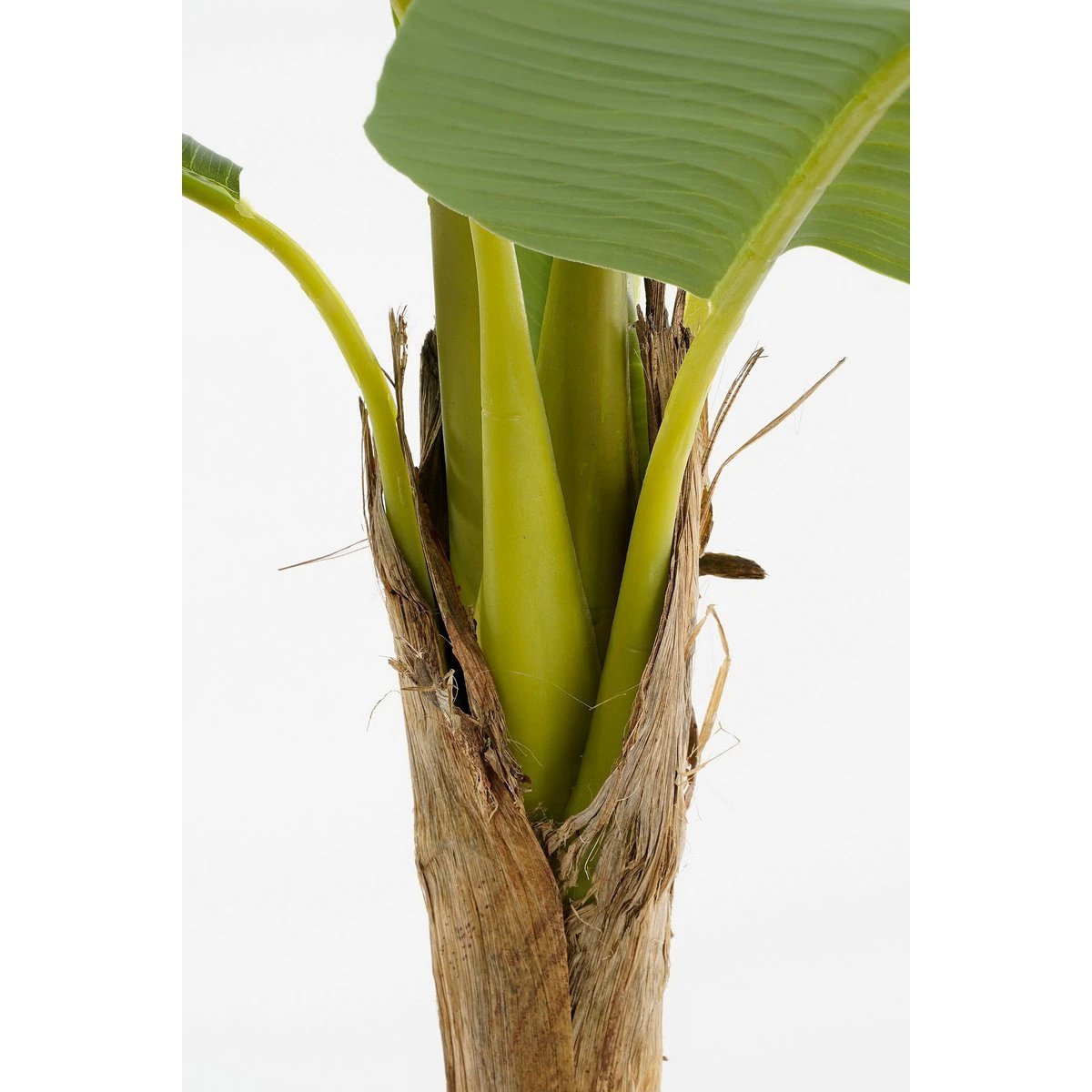 Artificial plant Green by Mica Decorations