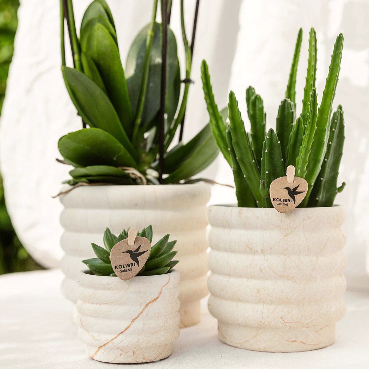 Kolibri Home | Marble pot - Light - Ø6cm by Kolibri Company
