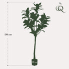 Artificial plant - Magnolia Grandiflora - 150 cm by Green boutiQ