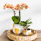 Kolibri Home I Grape pot - Orange - Ø9cm by Kolibri Company