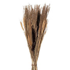 Trockenblumen 18x6x60 cm von Clayre & Eef.
