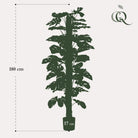 Monstera Deliciosa – Kunstpflanze – 180 cm von Green boutiQ