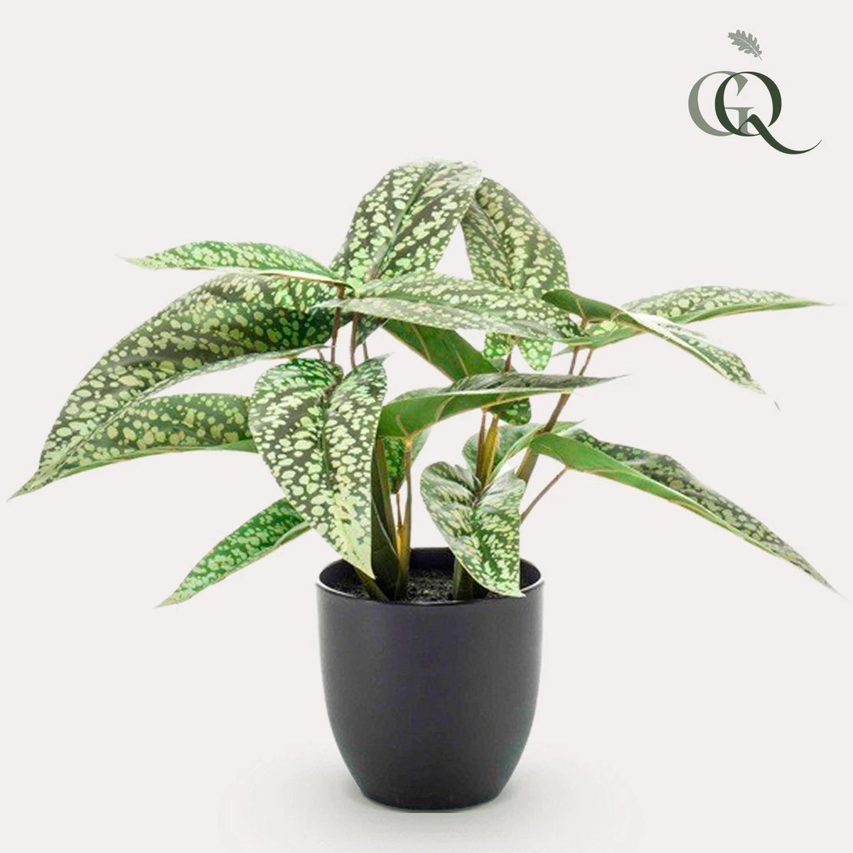 Kunstpflanze – Calathea Dots – Schattenpflanze – 38 cm von Green boutiQ