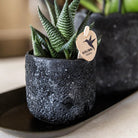 Kolibri Home | Moon sierpot - Black - Ø9cm by Kolibri Company