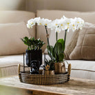 Hummingbird Home | Decorative bowl - Black woven tray Ø30cm by Kolibri Company