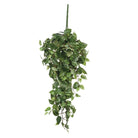 Artificial hanging plant Scindapsus hanging Green by Mica Decorations