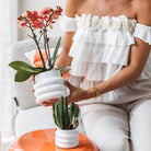 Hummingbird Orchids | Orange Phalaenopsis orchid - Mineral Bolzano + Bubble pot white - pot size Ø9cm | flowering houseplant - fresh from the grower by Kolibri Company