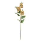 Artificial flower 71 cm Beige Plastic by Clayre & Eef.