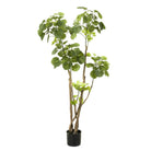 Kunstplant - Polyscias - Aralia - 135 cm by Green boutiQ
