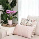 Hummingbird Home | Combi deal - Diabolo pot pink by Kolibri Company