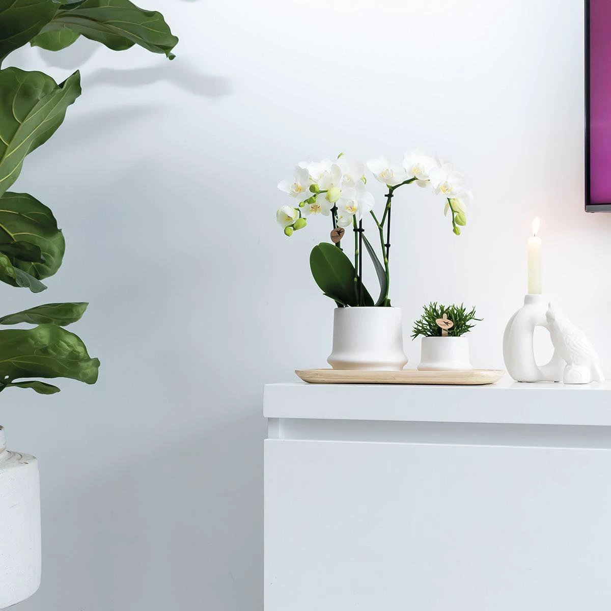 Hummingbird Home | Bamboo oval tray by Kolibri Company