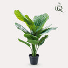 Kunstpflanze – Calathea Orbifolia – Schattenpflanze – 60 cm von Green boutiQ