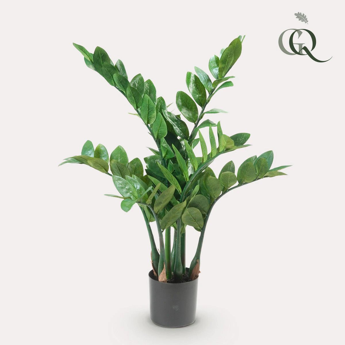 Artificial plant - Zamioculcas - City Palm - 70 cm by Green boutiQ