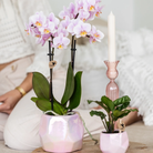 Kolibri Home I Pearl pot - Pink - Ø9cm by Kolibri Company