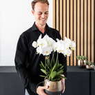 Kolibri Orchideen | KOMBI-ANGEBOT mit 2 weißen Phalaenopsis-Orchideen – Topfgröße Ø12 cm | blühende Zimmerpflanze – frisch vom Züchter von Kolibri Company