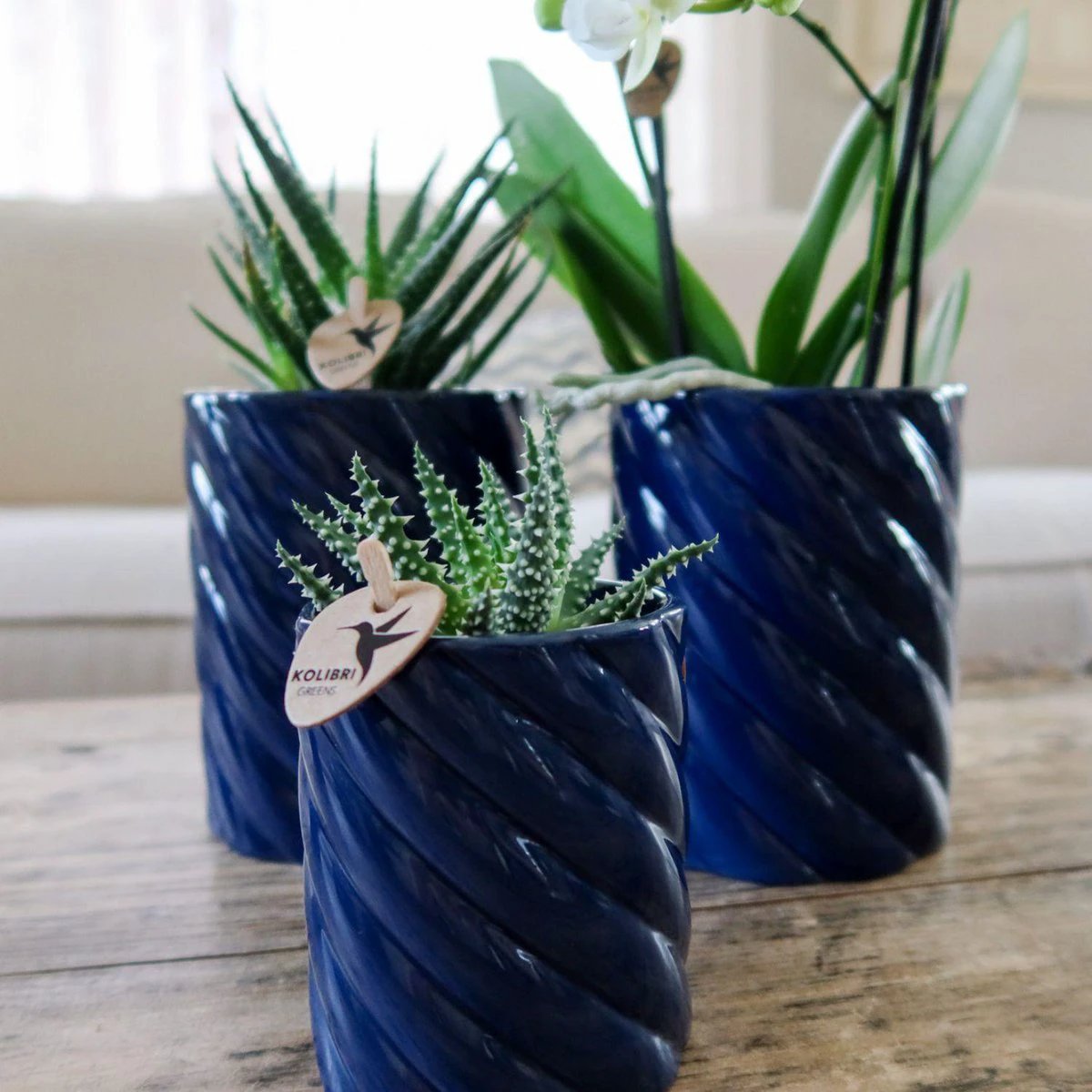 Kolibri Home | Candy sierpot | Hoog - Blue - Ø6cm by Kolibri Company