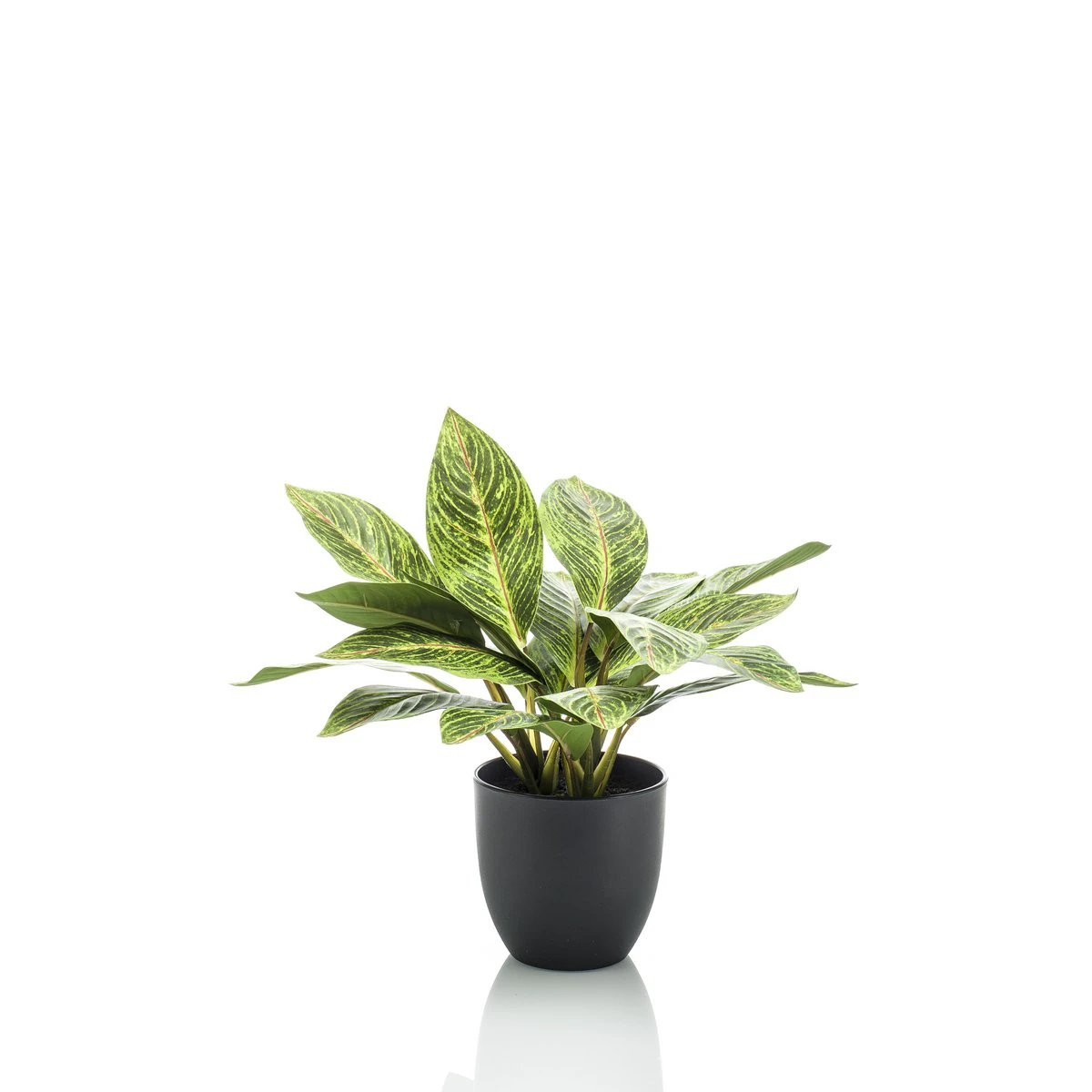 Kunstpflanze – Croton Codiaeum – Wunderstrauch – 38 cm von Green boutiQ