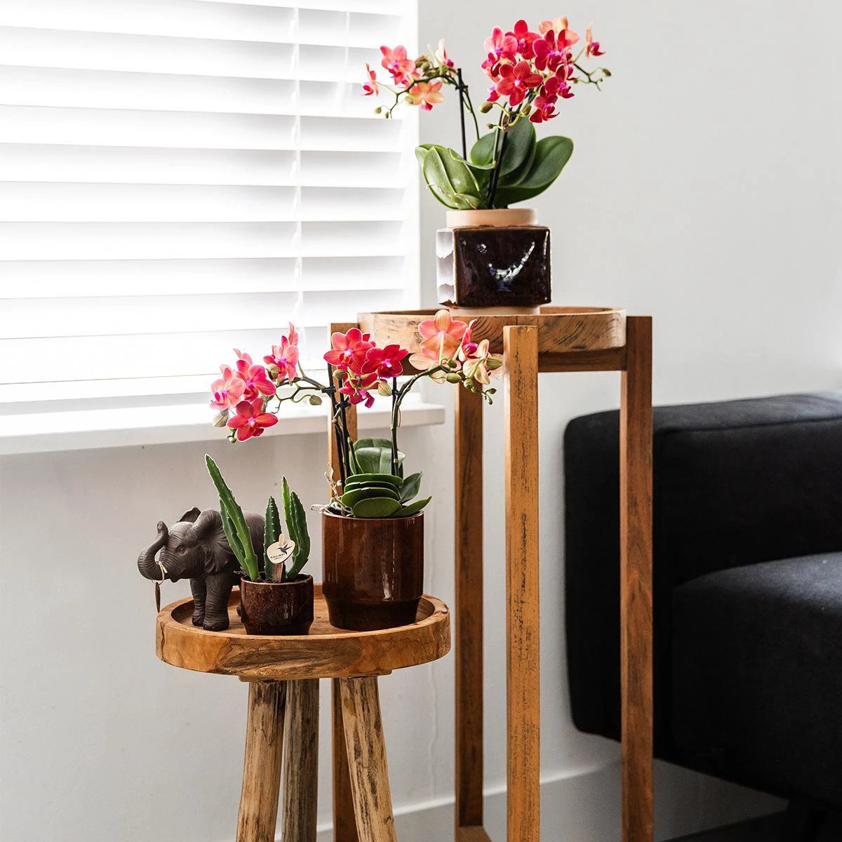 Hummingbird Home | Classy red - Ø9cm by Kolibri Company