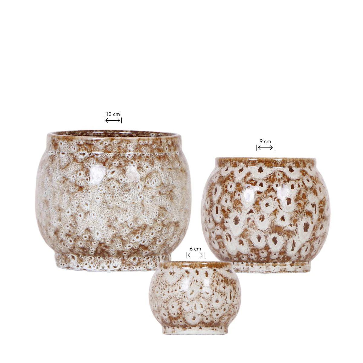 Hummingbird Home | Combi deal - Safari pots by Kolibri Company