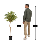 Artificial plant Ficus Green by Mica Decorations
