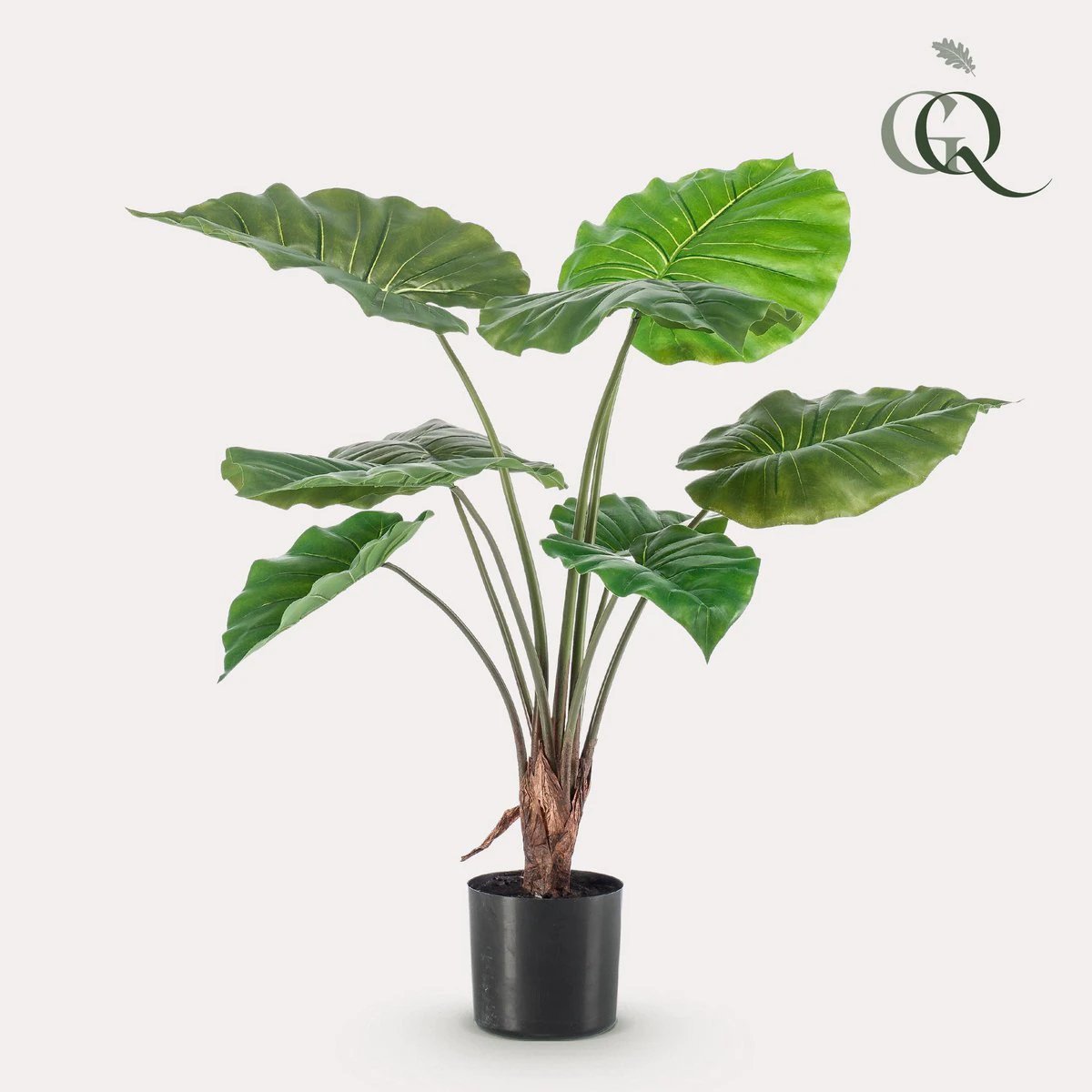 Art plant - Alocasia - Elephants ear - 70 cm by Green boutiQ