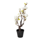 Artificial plant Magnolia 16x14x60 cm White Plastic by Clayre & Eef.