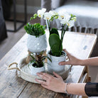 Hummingbird Home | Jug flower pot - White ceramic decorative pot Ø9cm by Kolibri Company