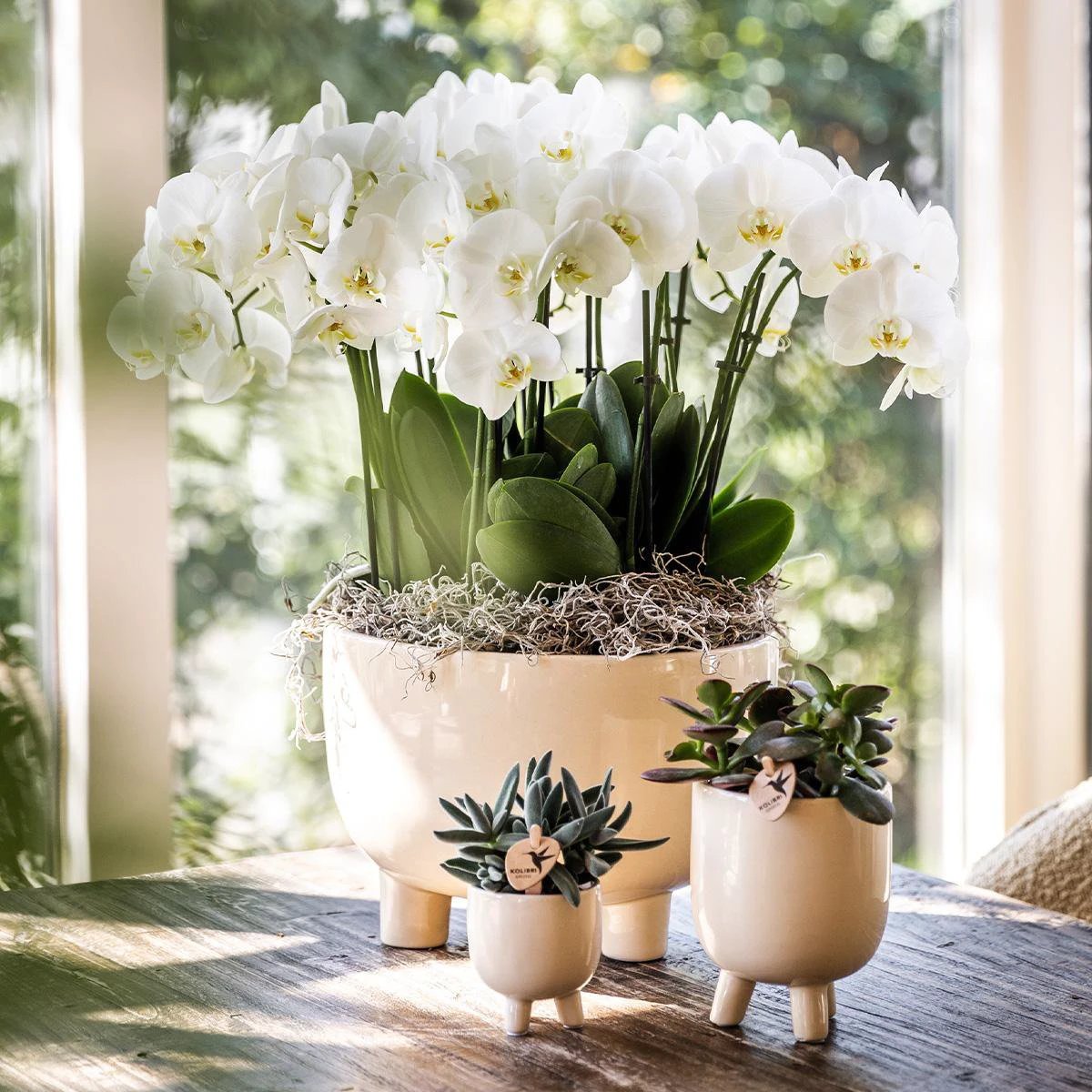 Hummingbird Home | Combi deal - Gummy travertine pots by Kolibri Company