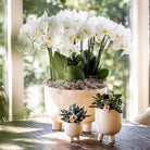 Hummingbird Home | Combi deal - Gummy travertine pots by Kolibri Company