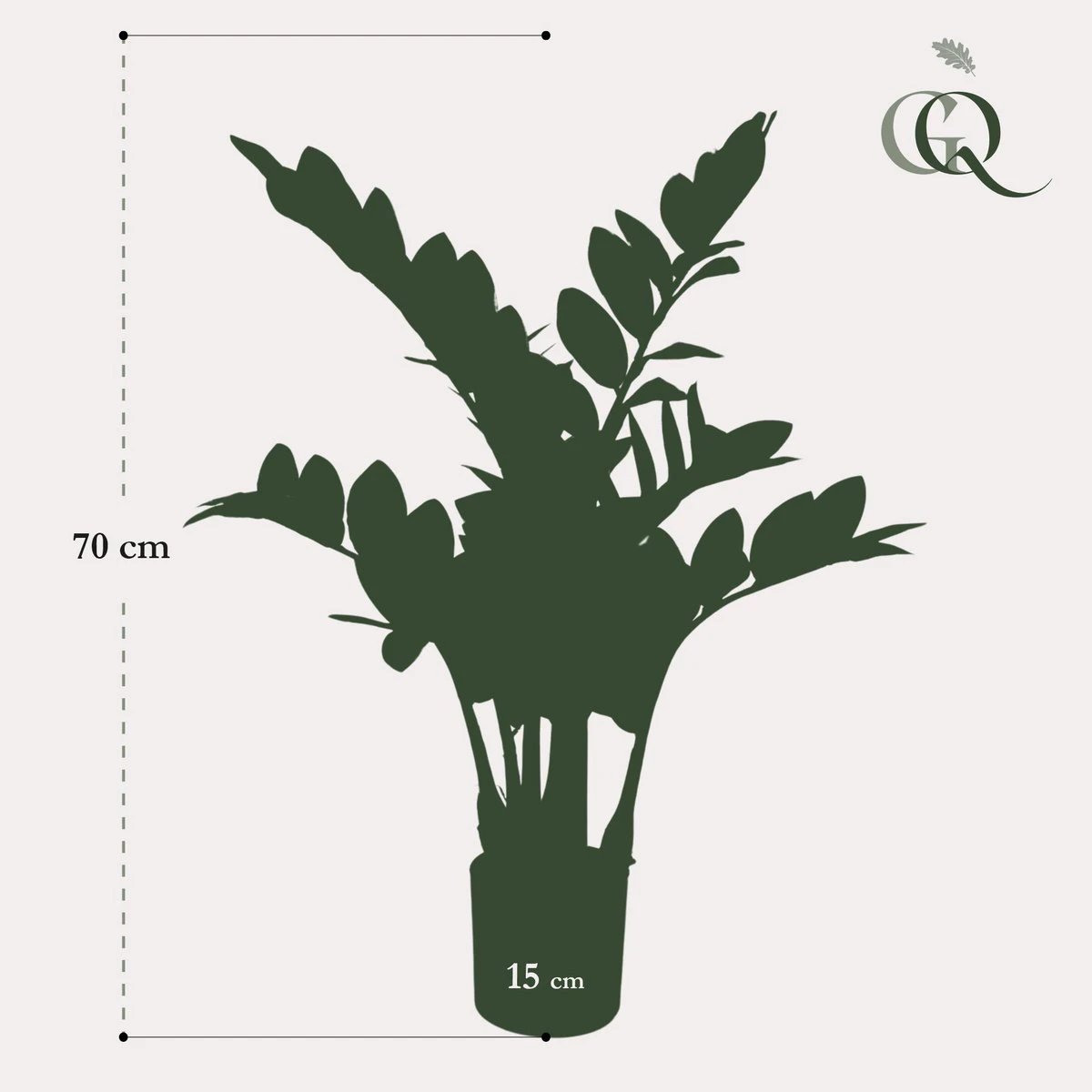 Artificial plant - Zamioculcas - City Palm - 70 cm by Green boutiQ