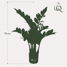 Artificial plant - Zamioculcas - City Palm - 70 cm by Green boutiQ