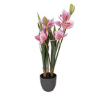 Artificial plant 14x14x55 cm Pink Plastic by Clayre & Eef.