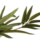 Artificial plant 35x35x160 cm Green Plastic by Clayre & Eef.