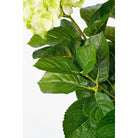 Art plant Hyddongea Creme by Mica Decorations