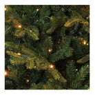Vancouver Artificial Christmas Tree with LED Lighting - H185 x Ø124 cm - Green by House of Seasons