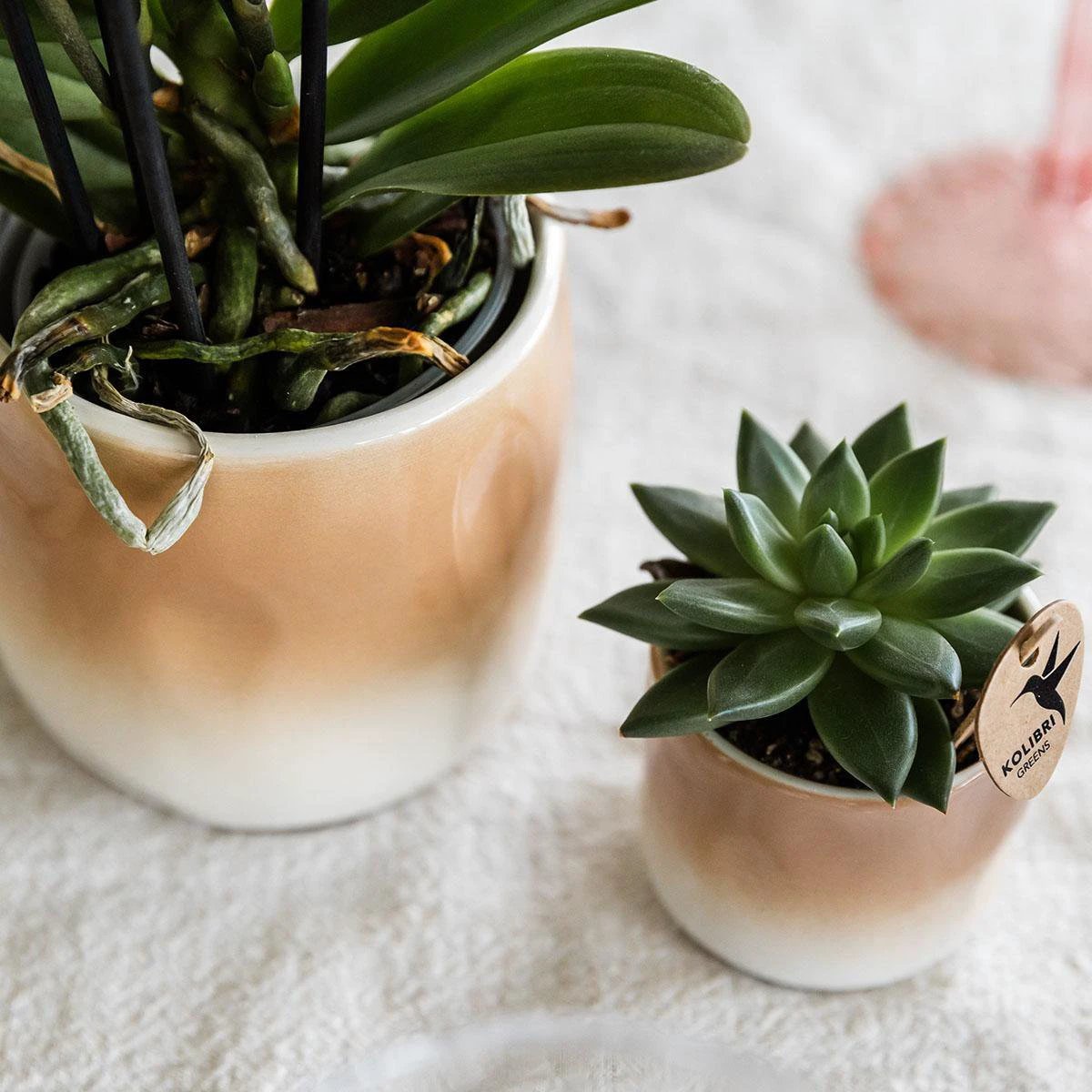 Kolibri Home | Gradience sierpot - Brown - Ø9cm by Kolibri Company
