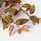 Artificial hanging plant Tradescantia Dark Red by Mica Decorations