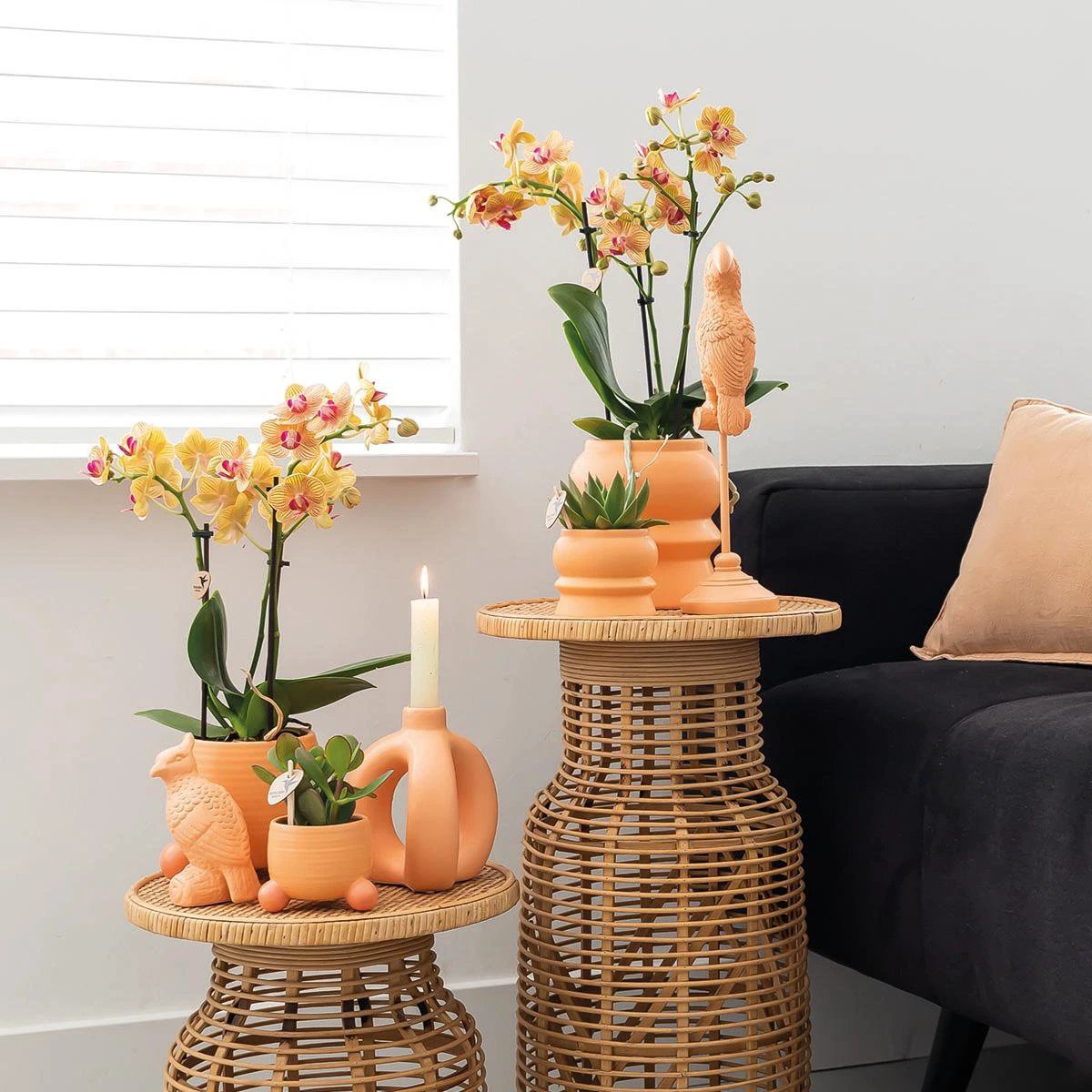 Hummingbird Home | Rolling peach flower pot - Peach colored ceramic decorative pot - Ø6cm by Kolibri Company
