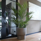 Plant Pot - Roskilde Taupe by Vase The World