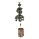 Mini Artificial Christmas Tree 14x14x45 cm Green Wood by Clayre & Eef.