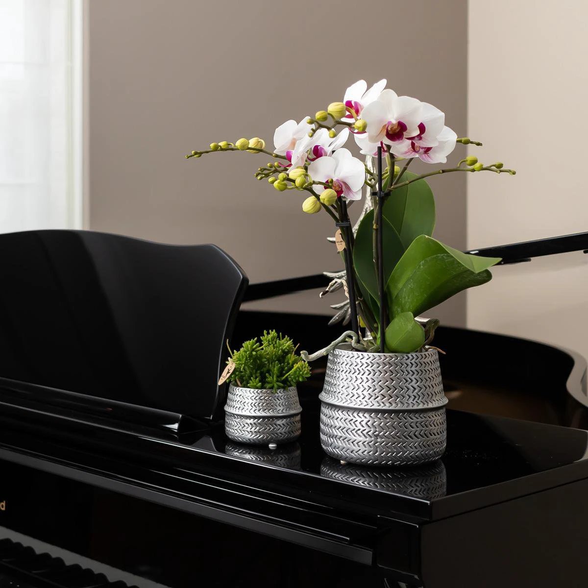 Kolibri Home | Groove Flowerpot - Silver Ceramic Sierpot - Ø6cm by Kolibri Company
