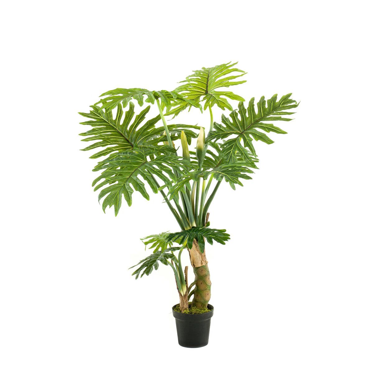 Kunstpflanze – Philodendron – 130 cm von Green boutiQ