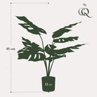 Monstera Deliciosa - artificial plant - 65 cm by Green boutiQ