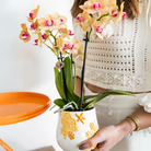 Kolibri Home | Coral - Yellow - Ø9cm by Kolibri Company