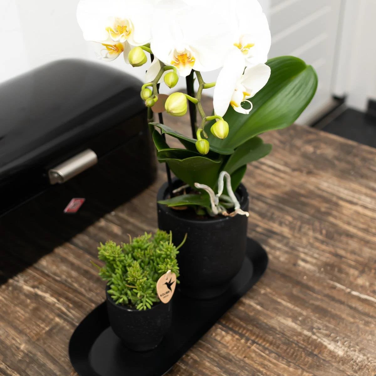 Kolibri Home | Plate oval - Ovale dienblad Ø30cm - Black by Kolibri Company