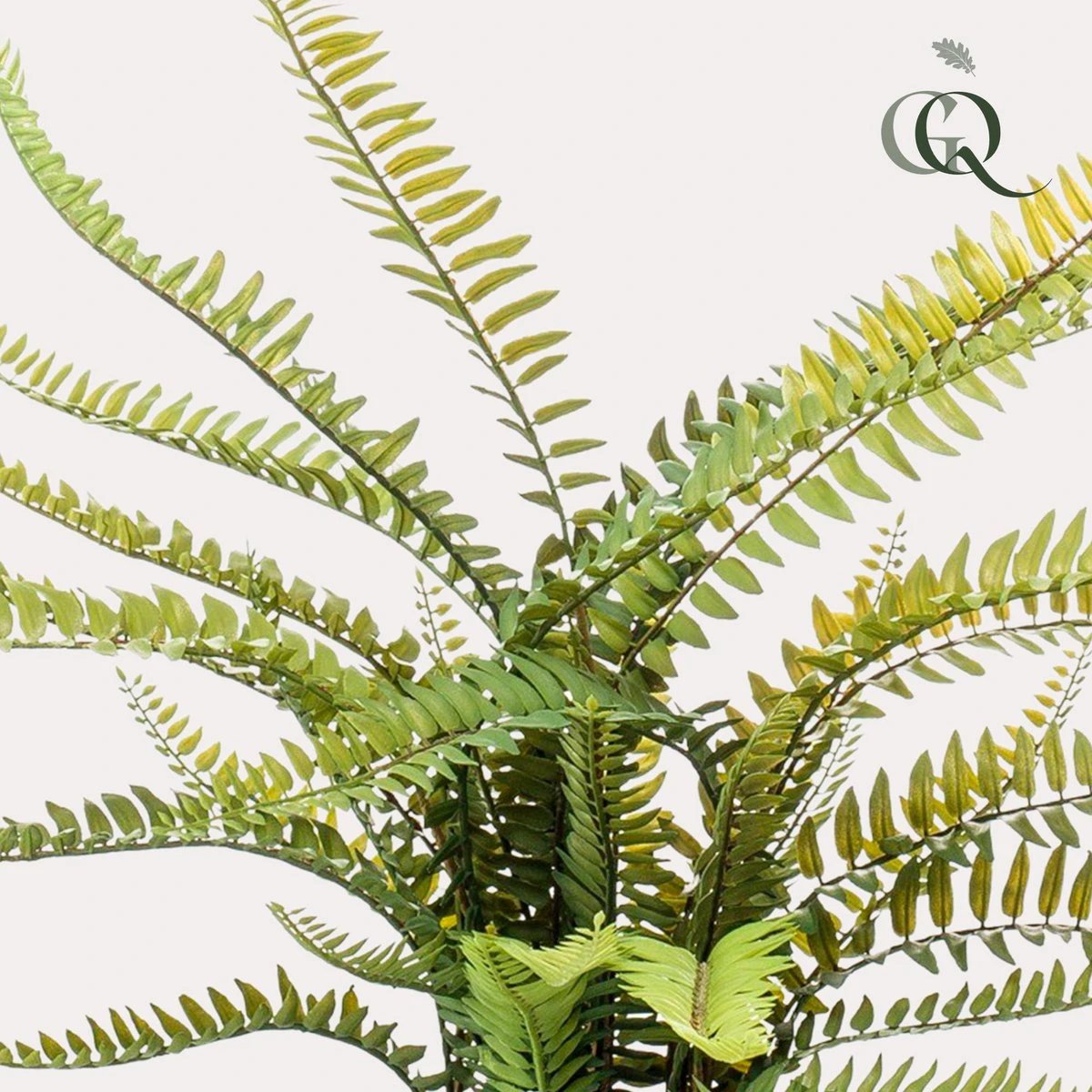 Kunstpflanze – Nephrolepis exaltata – Bostonfarn – 55 cm von Green boutiQ