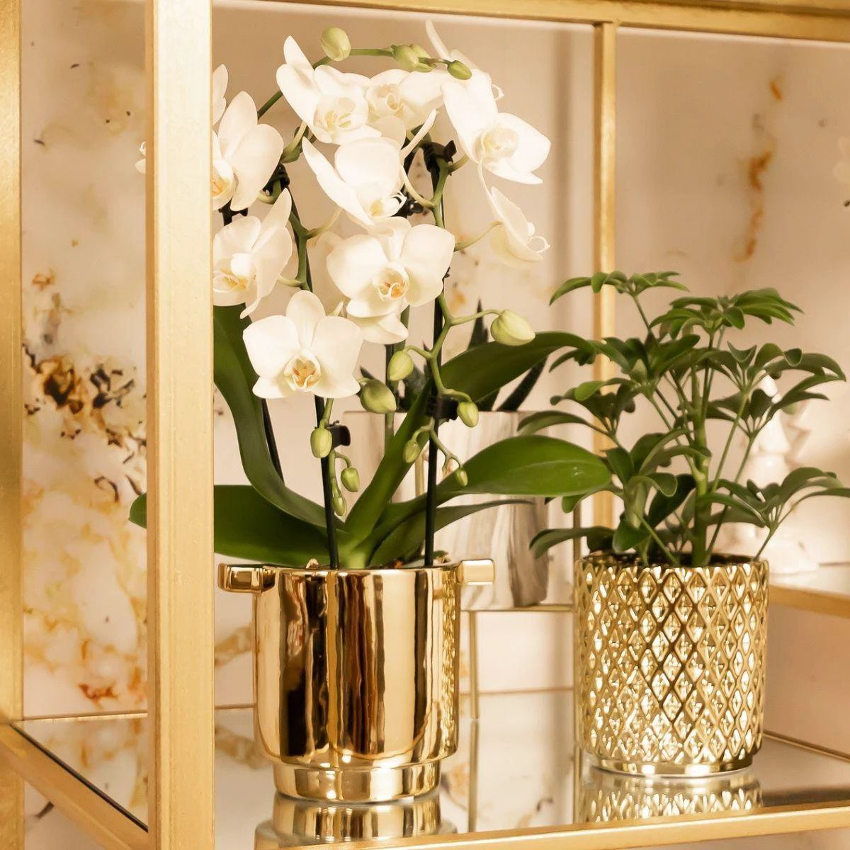 Hummingbird Home | Metallic diamond flower pot - Golden ceramic decorative pot Ø9cm by Kolibri Company