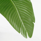 Artificial plant Green by Mica Decorations