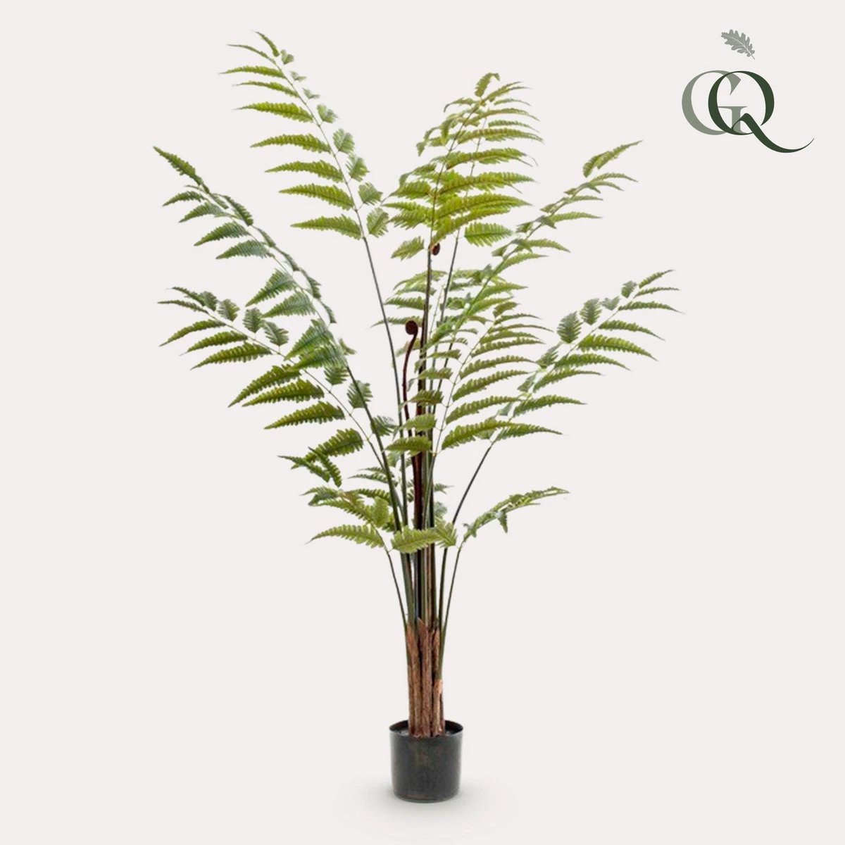 Art Plant - Rumohra Adiantiformis - The Leader Varise - 150 cm by Green boutiQ